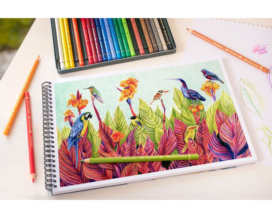 barevná tužka polychromos