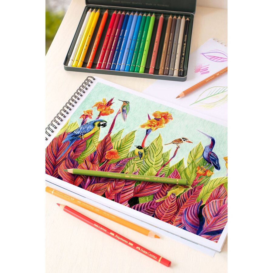 barevná tužka polychromos