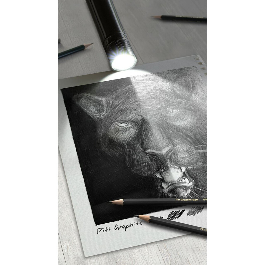 pitt graphite matt castell 9000